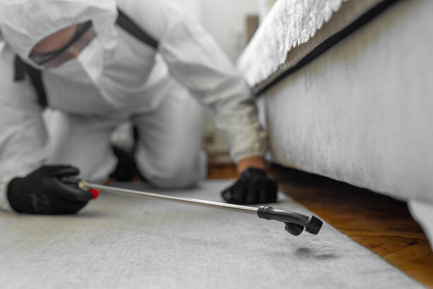 Professional Pest Control technician working in Howard County County, MD